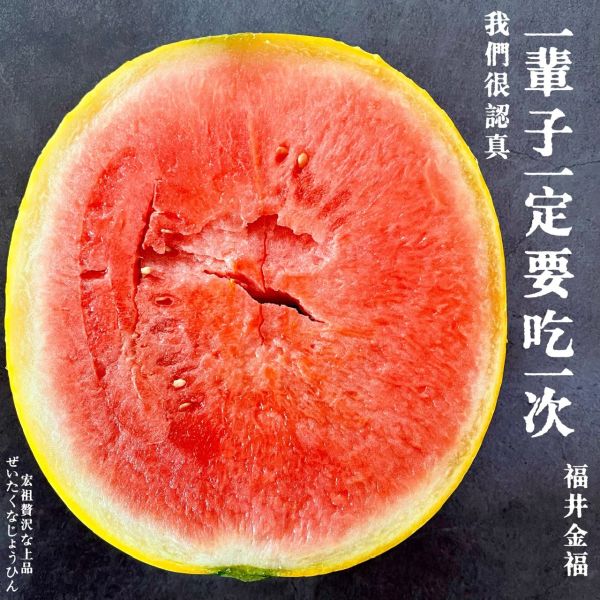 日本福井｜金福西瓜｜黃金西瓜 日本金福西瓜｜甜過初戀的極品限定
日本福井｜金福西瓜｜黃金西瓜