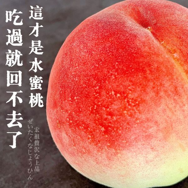 世界最強｜山梨一宮｜此生必吃水蜜桃（夏姬） 山梨一宮｜地表最強｜水蜜桃