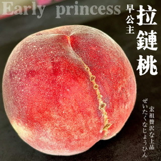 早公主拉鏈桃｜最好吃的美桃｜侍果師認證 早公主拉鏈桃｜最好吃的美桃｜侍果師認證