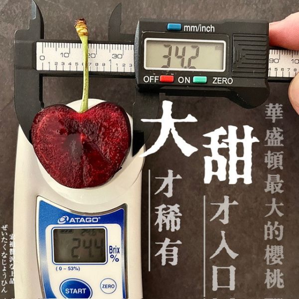 Cerasina|史上最大的櫻桃｜空運華盛頓 Cerasina|史上最大的櫻桃｜空運華盛頓
