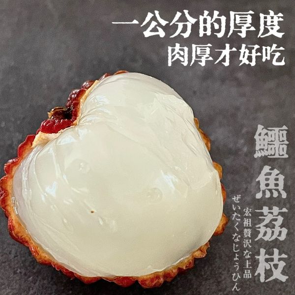 鱷魚荔枝｜此生必吃｜史上最大 鱷魚荔枝｜此生必吃｜史上最大