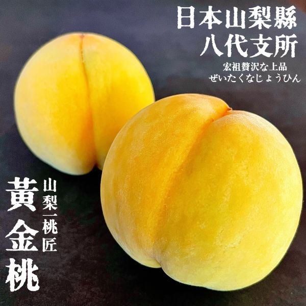 山梨一桃匠｜溫室黃金桃｜芒果香氣 山梨一桃匠｜溫室黃金桃｜芒果香氣