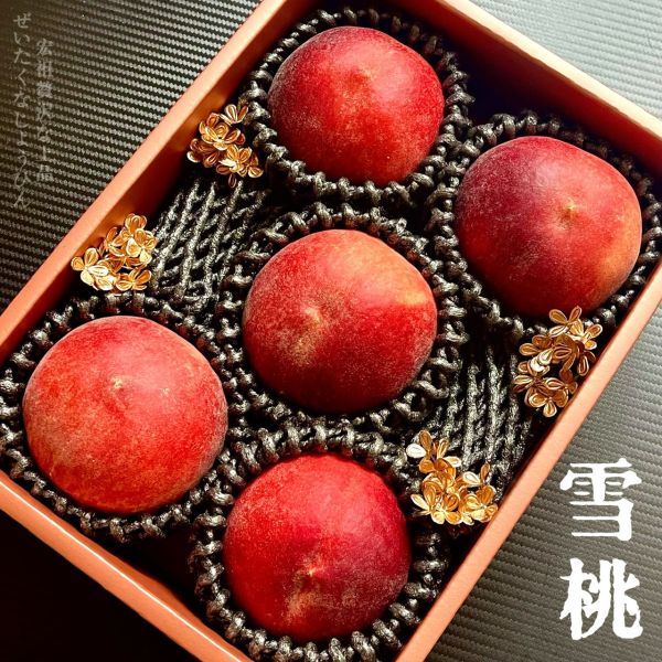 Snow Peach｜夢幻雪桃｜美國軟桃代表作 Snow Peach｜夢幻雪桃｜美國軟桃代表作