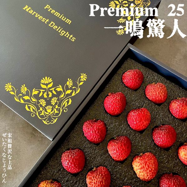 荔霸王｜Premium 25 荔霸王｜Premium25｜巨無霸荔枝