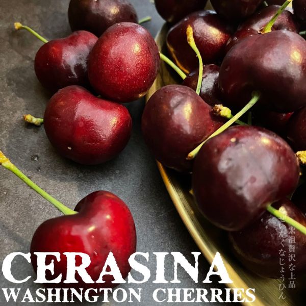 Cerasina|史上最大的櫻桃｜空運華盛頓 Cerasina|史上最大的櫻桃｜空運華盛頓