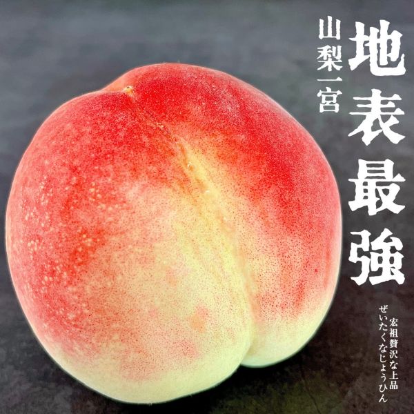 世界最強｜山梨一宮｜此生必吃水蜜桃（夏姬） 山梨一宮｜地表最強｜水蜜桃