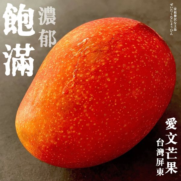 台灣愛文芒果｜外銷之光｜出口限定 愛文芒果 外銷級 台灣之光
