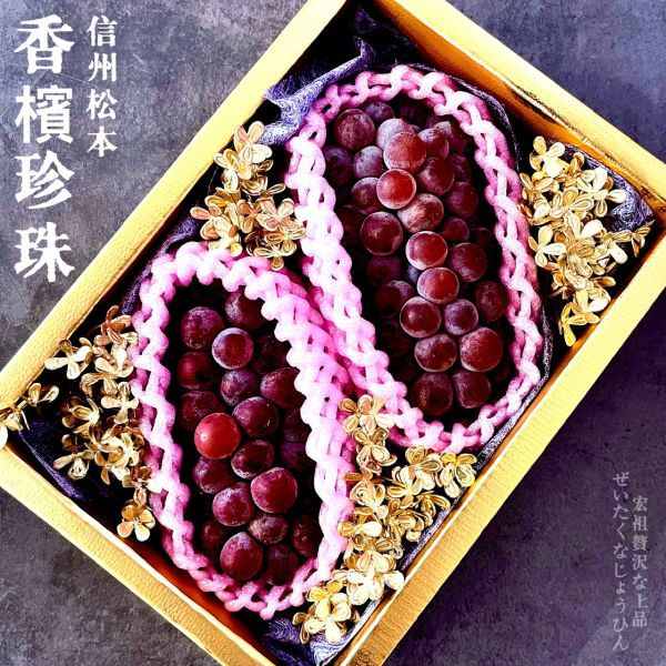 日本-松本珍珠葡萄 🇯🇵信州松本｜香檳珍珠葡萄🇯🇵
