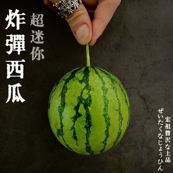 超迷你炸彈西瓜｜話題神器 🏆超迷你炸彈西瓜｜話題神器
