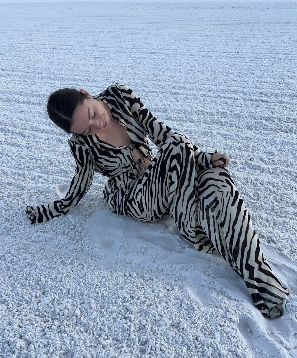 zebra,zebra 