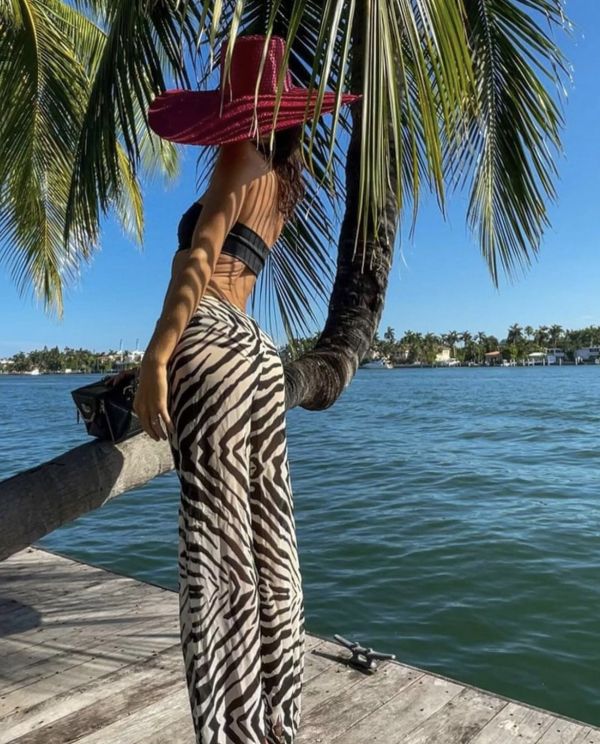 zebra,zebra 