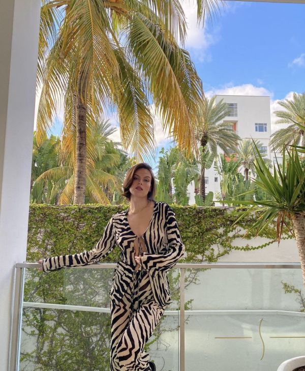 zebra,zebra 