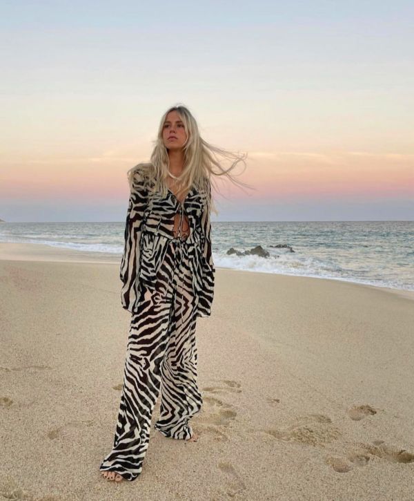 zebra,zebra 