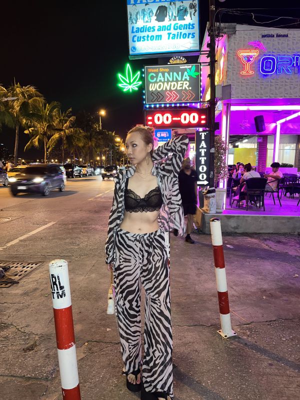 zebra,zebra 