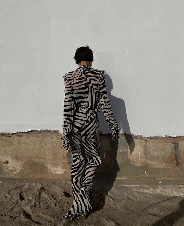 zebra,zebra 