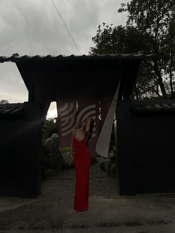 深Ｖ迷魂洋裝 