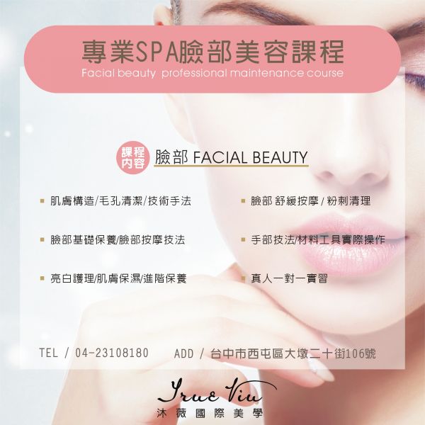 專業SPA臉部美容 專業SPA臉部美容