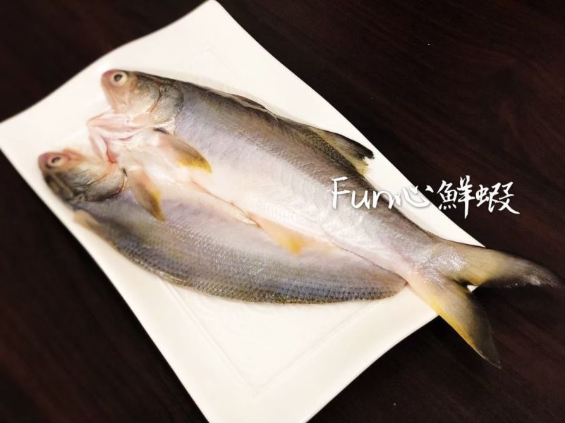 午仔魚一夜乾200-250g/尾 