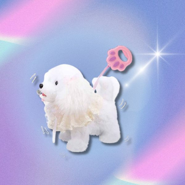 CF169669 - 牽繩舔舌貴賓狗 