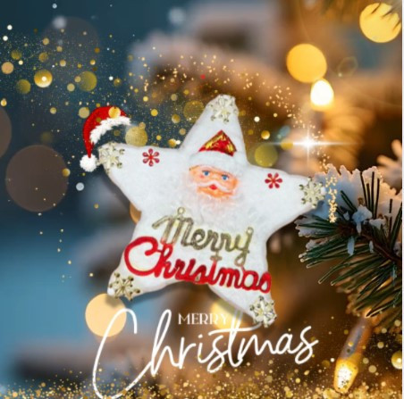 YF13746 -白綿五星 聖誕節,聖誕樹,裝飾,聖誕裝飾,