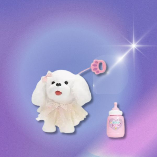 CF169669 - 牽繩舔舌貴賓狗 