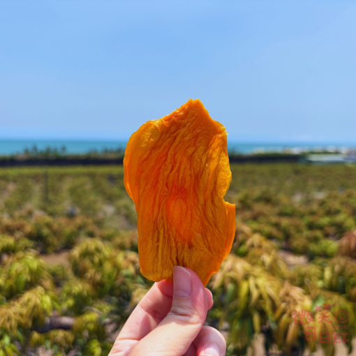 鎖住你的夏天．愛文芒果乾（無糖）**限時7/17~7/20** 枋山愛文芒果
無糖芒果乾
芒果乾