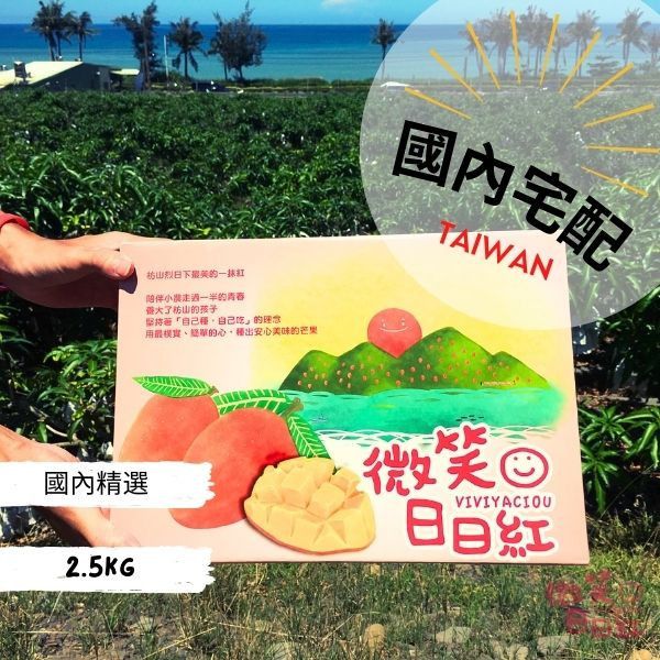 ✿相約明年見，已完售!!!✿【國內精選小盒8~10粒】 愛文芒果禮盒,台湾愛文マンゴー,愛文芒果,產地直送,屏東縣,枋山,水果禮盒,空運日本,國內宅配,VIVIYACIOU,微笑日日紅,恆春,夏天