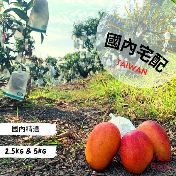 枋山愛文芒果產地新鮮直送【國內精選】 愛文芒果禮盒,台湾愛文マンゴー,愛文芒果,產地直送,屏東縣,枋山,水果禮盒,空運日本,國內宅配,VIVIYACIOU,微笑日日紅,恆春,夏天
