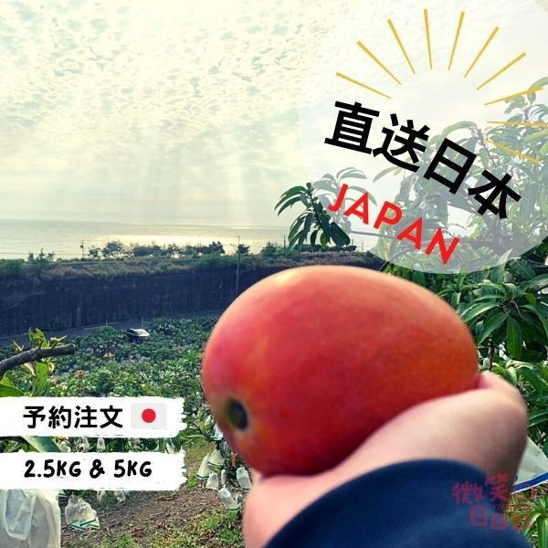 2026﹡4月下旬注文する開催 台湾愛文マンゴー,家族や友達へのご贈答にもオススメです,台湾果物