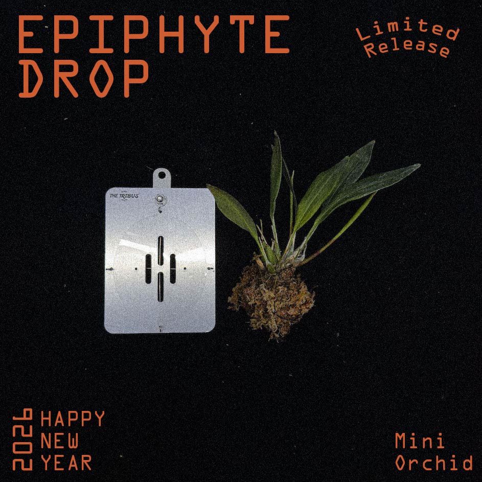 2026 Exclusive Pack - THE TRIBUS STUDIO ® Official Website