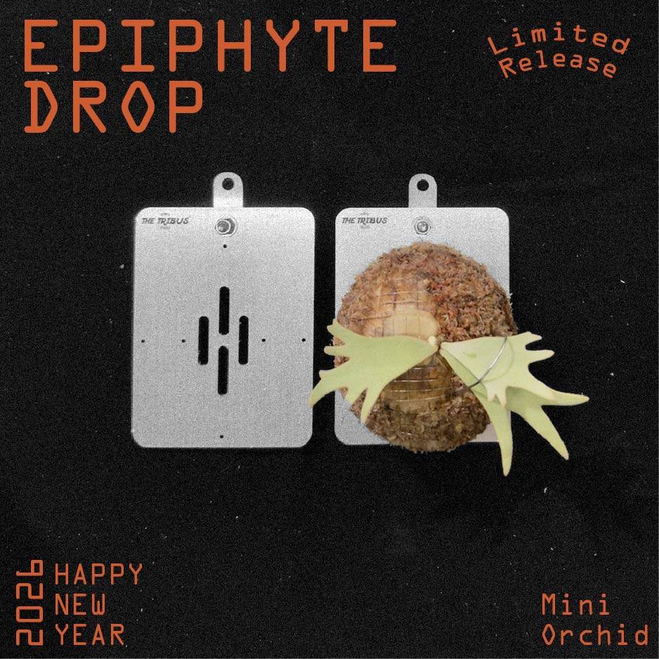 2026 Exclusive Pack - THE TRIBUS STUDIO ® Official Website