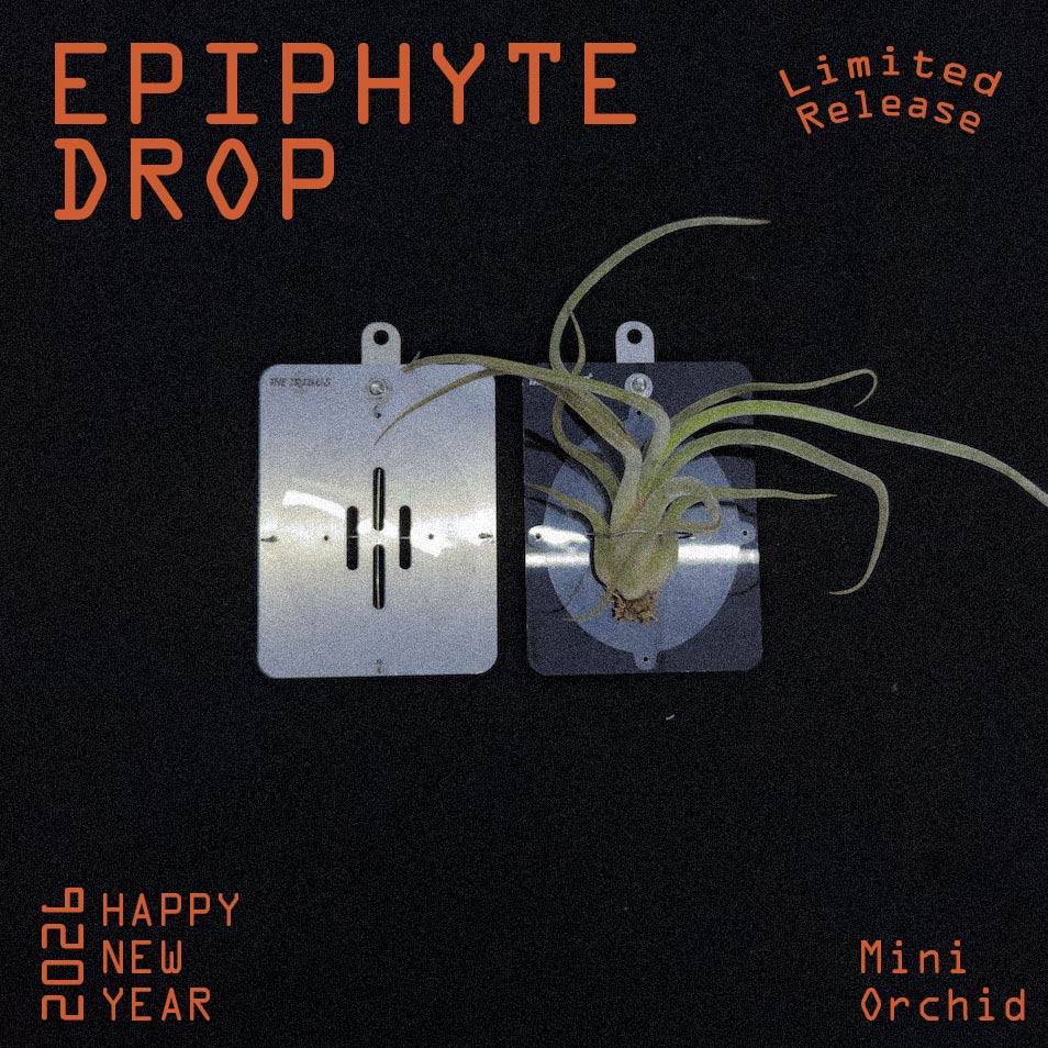 2026 Exclusive Pack - THE TRIBUS STUDIO ® Official Website