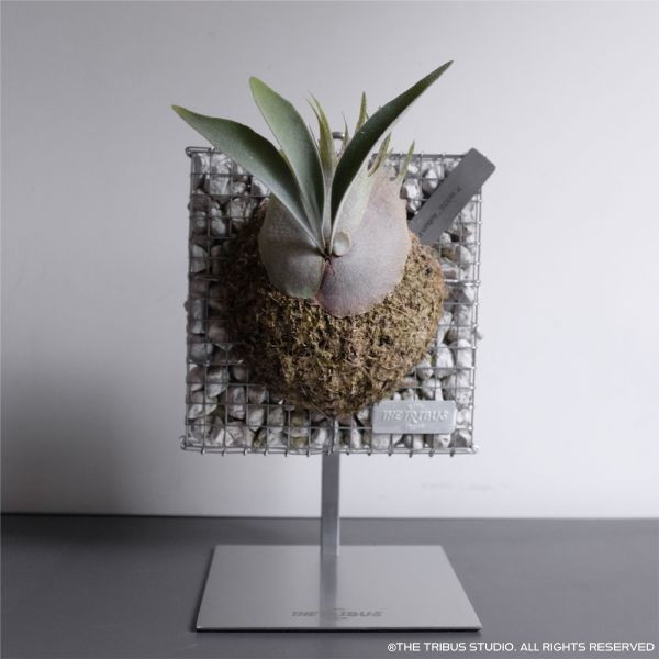 Gabion Board Square M 