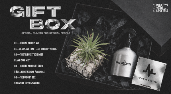 IONANTHA GABION CUBE GIFT SET 