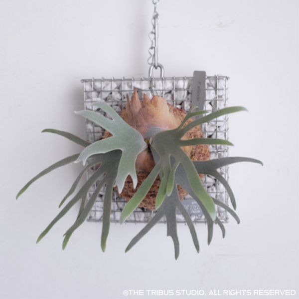 Gabion Board Square M 