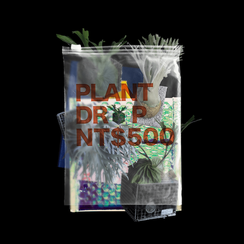 植物扭蛋線上代抽 