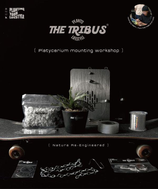 CyberBoard Mounting Workshop 