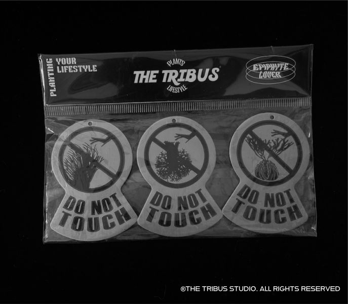 植物掛件PLANT WIDGET 