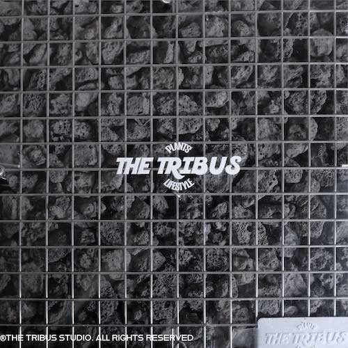 蛇籠板 長方形 -L size 