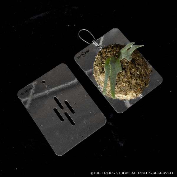 CyberBoard Rectangular Mini 