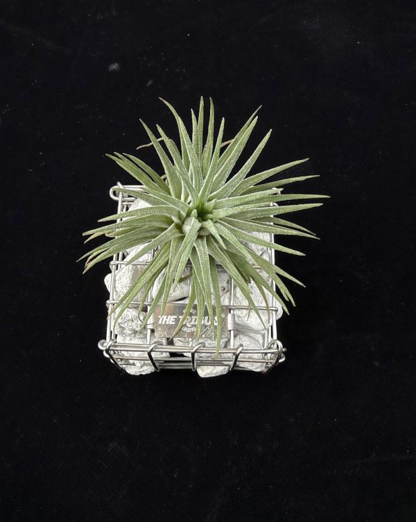 IONANTHA GABION CUBE GIFT SET 