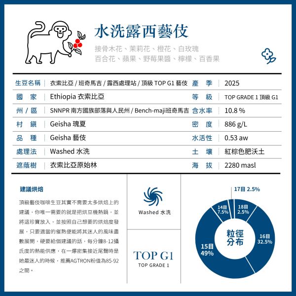2025 水洗露西藝伎 | 衣索比亞 | 班奇馬吉 | 水洗 | 頂級G1藝伎 咖啡生豆,衣索比亞,班奇馬吉,露西處理站,水洗,頂級G1藝伎