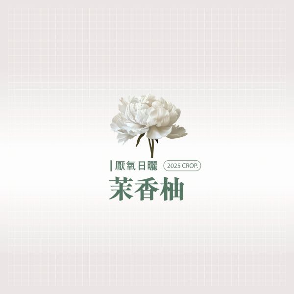 2025 厭氧日曬茉香柚 | 紅圈計畫 | 烏拉嘎 | TOP G1 | 可如蜜 咖啡生豆,衣索比亞,TOP G1,厭氧日曬茉香柚 Anaerobic Natural,厭氧日曬,可如蜜茉香柚,烏拉嘎,茉香柚處理站,紅圈計畫