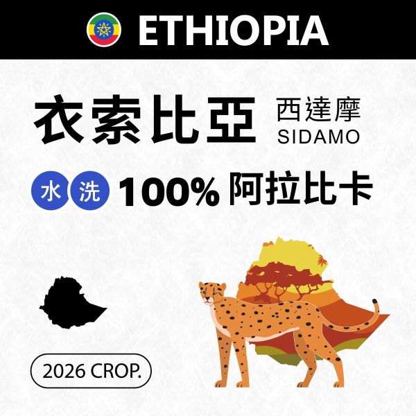2026 衣索比亞 | 西達摩 | 水洗 | 100%阿拉比卡 衣索比亞,Sidamo 西達摩,水洗,Heirloom,原生種,咖啡生豆,咖啡豆,配方豆 商業豆