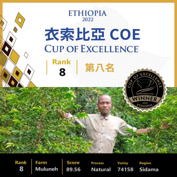 2022 COE 卓越杯 | 衣索比亞 | RANK 8 | 第八名 | 日曬 | 74158 咖啡生豆,日曬,74158 COE,卓越杯,咖啡豆,衣索比亞