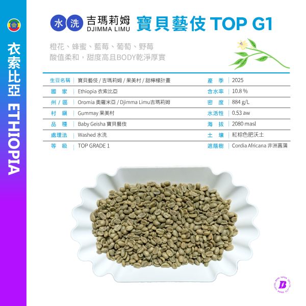 2025 水洗寶貝藝伎 | 水洗 | 吉瑪莉姆 | 果美村 | 甜檸檬計畫 咖啡生豆 衣索比亞 TOP G1 寶貝藝伎 水洗 Baby Geisha 2025