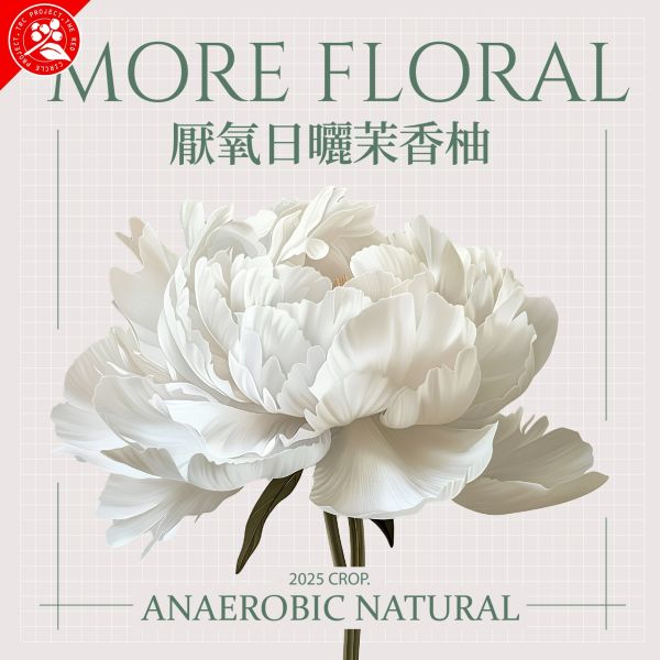 2025 厭氧日曬茉香柚 | 紅圈計畫 | 烏拉嘎 | TOP G1 | 可如蜜 咖啡生豆,衣索比亞,TOP G1,厭氧日曬茉香柚 Anaerobic Natural,厭氧日曬,可如蜜茉香柚,烏拉嘎,茉香柚處理站,紅圈計畫