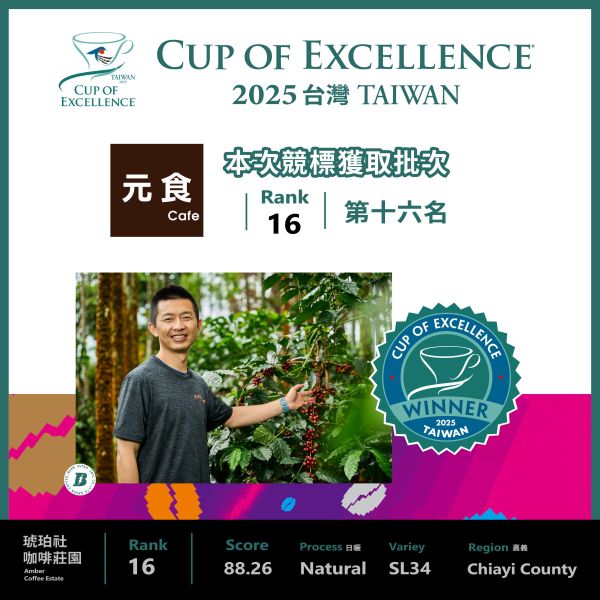 2025 COE 卓越杯 | 臺灣 | RANK 16 | 第十六名 | 日曬 咖啡生豆,卓越杯,咖啡豆