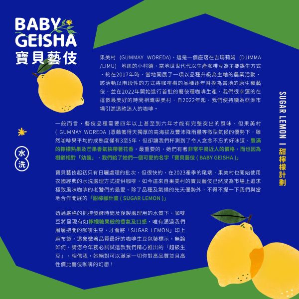 2026 水洗寶貝藝伎 | 水洗 | 吉瑪莉姆 | 果美村 | 甜檸檬計畫 咖啡生豆 衣索比亞 TOP G1 寶貝藝伎 水洗 Baby Geisha 2025