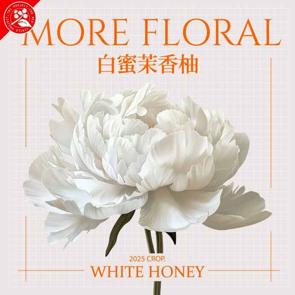 2025 白蜜茉香柚 | 紅圈計畫 | 烏拉嘎 | TOP G1 | 可如蜜 咖啡生豆,衣索比亞,G1,白蜜茉香柚 White Honey,白蜜,可如蜜茉香柚,烏拉嘎,茉香柚處理站,紅圈計畫
